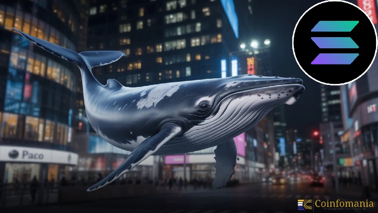 Solana Whale Activity Confirms Growing Institutional Interest