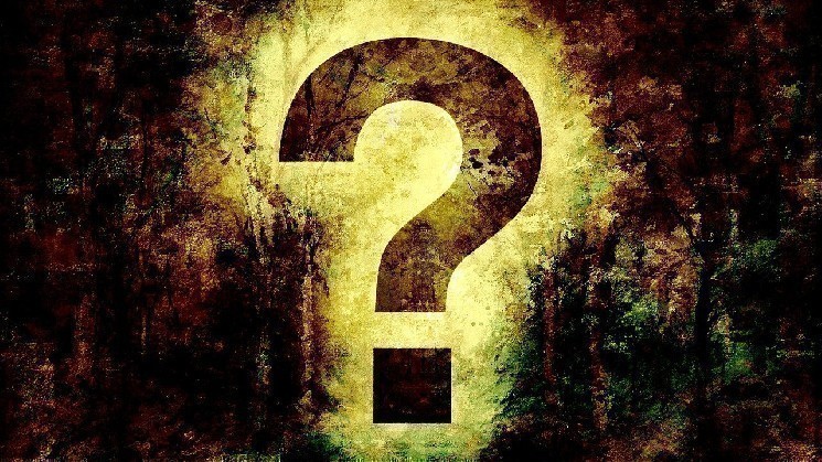 Here Are the 15 Altcoins with the Highest Weekly Active User Count